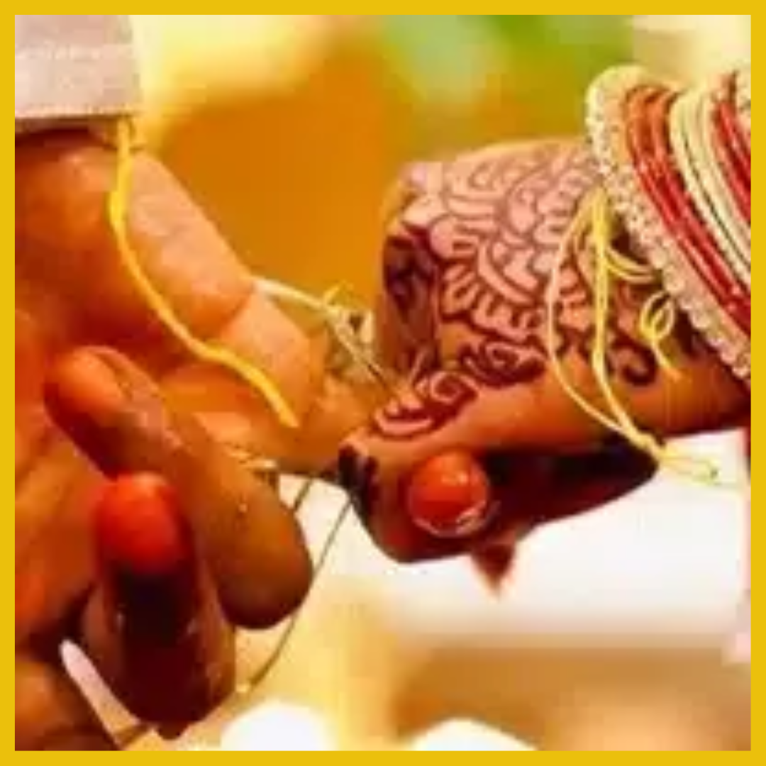 Pre Matrimonial Verification Services