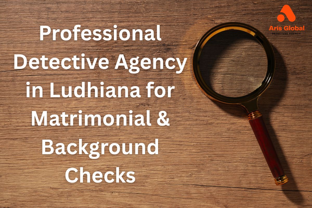 Professional Detective Agency in Ludhiana for Matrimonial & Background Checks