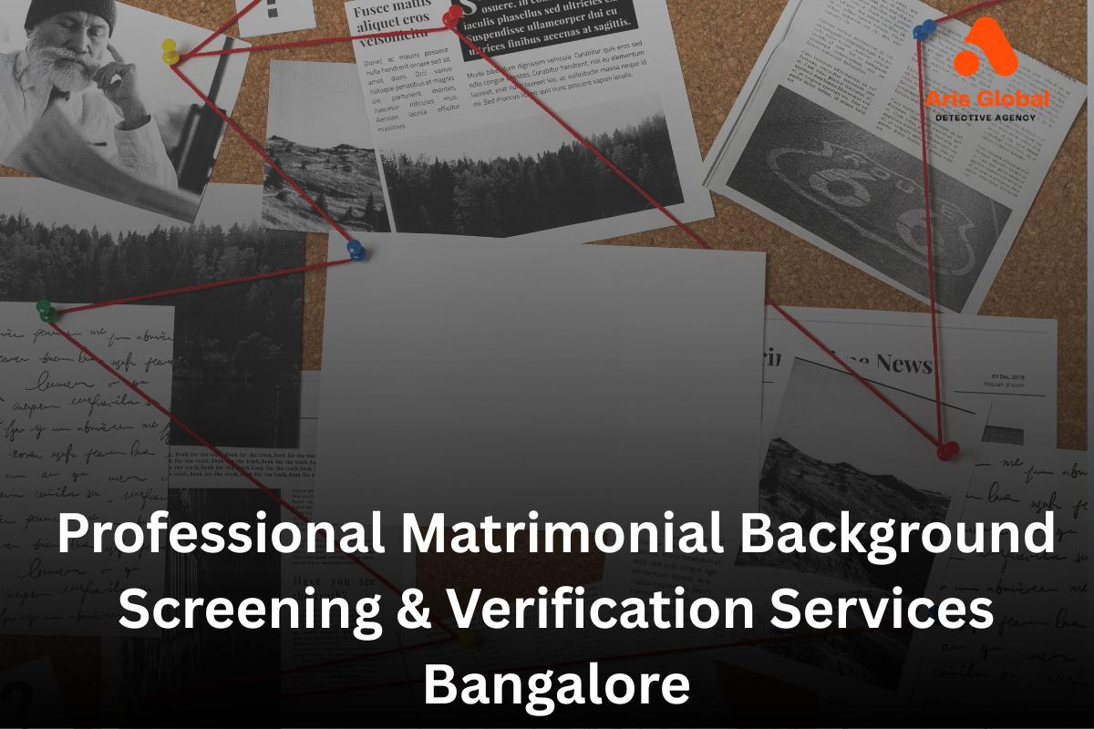Professional Matrimonial Background Screening