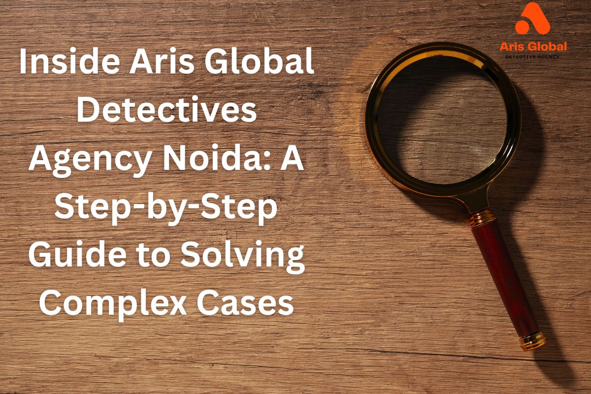 Aris Global Detectives Agency Noida